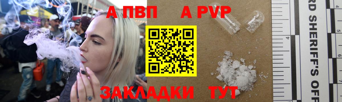 А ПВП СК  Вход с VPN  Курчалой  A PVP  Альфа ПВП СК 