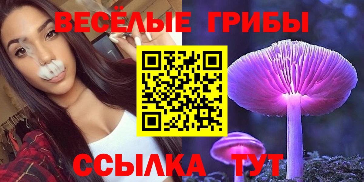 Псилоцибиновые грибы мухоморы  Вход с VPN  Галлюциногенные грибы прущие грибы  Курчалой 