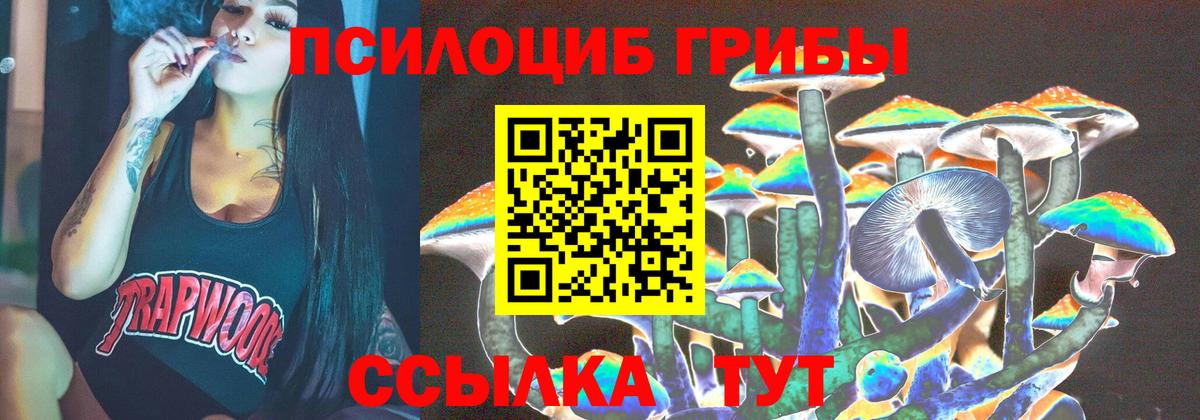Галлюциногенные грибы мицелий Курчалой